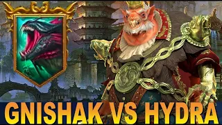 RAID: ОН ПРОСТО БОМБА 💣💣💣 ГНИШАК VS НЕВОЗМОЖНАЯ ГИДРА - АВТО БЕЗ НАПРЯГА 🔥🔥🔥 GNISHAK VS HYDRA