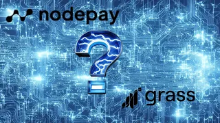 What will NodePay and Grass have in common?