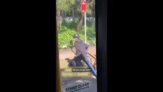 Cyclist smashes the window of a bus in horrifying Sydney road rage attack