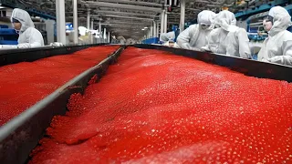 Incredible Process of Growing Red Caviar! Caviar Production - How to Make Red Caviar