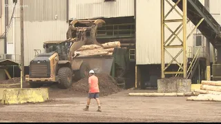 Georgia lumber company investing $30M to expand Perry sawmill