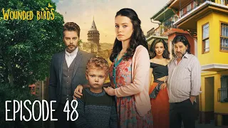 Wounded Birds - Episode 48 - [Multi Lang. Subtitles] Turkish Drama | Yaralı Kuşlar 2019