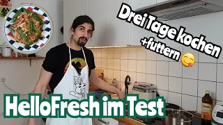 Drei Tage kochen mit HelloFresh | Qualität, Geschmack und Preis