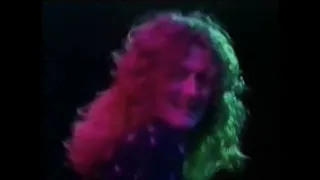 Led Zeppelin レッドツェッペリン / Live at Earls Court 1975 ZEP