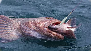 Fishing Valdez, Alaska. Valdez Saltwater Adventures 2018