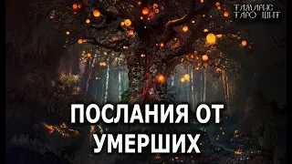 ПОСЛАНИЯ ОТ УМЕРШИХ 🔥💯🔥 ГАДАНИЕ ОНЛАЙН  РАСКЛАД ТАРО