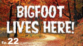 My Bigfoot Sighting Episode 22 -Bigfoot Lives Here!