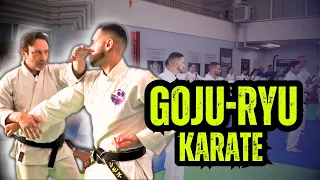 L' Applicazione del Karate Goju-Ryu nelle Arti Marziali