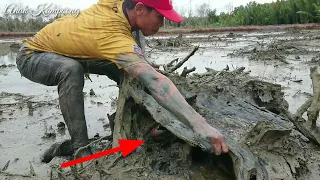 Amazing superhuman expertise in catching crabs in holes with their bare hands