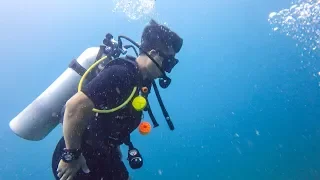 A Day in the Life of a Scuba Dive Master Trainee