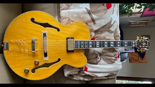 NGD 2020 Ibanez PM2 AA Pat Metheny model live improv