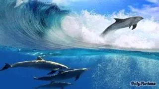 Stephen Schlaks - El Delfin Azul