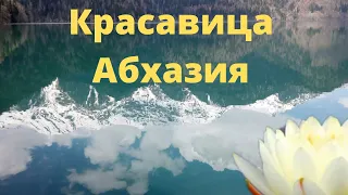 Абхазия 2020. Где лучше отдохнуть в Пицунде. Экскурсия на озеро Рица.