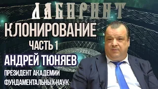 НУМЕРОЛОГИЯ | ЛАБИРИНТ | А. Тюняев | Клонирование ч.1