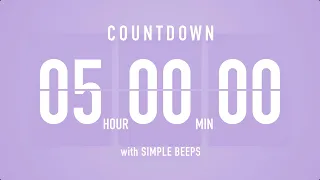 5 Hours Countdown Flip Clock Timer / Simple Beeps 🫐 🔔