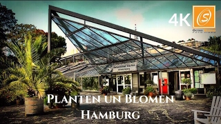 Planten un Blomen - Greenhouses - Walking Tour, Hamburg, Germany 4K UHD