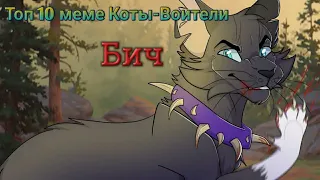 Топ 10 меме Коты-Воители: Бич