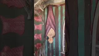 Hanging Vampire Prop - Trimper’s Haunted House Lobby Exit (Lord Dakhanavar)