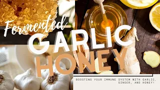 FERMENTED GARLIC HONEY ; Immune Support Garlic Honey ; Immune Booster ; Garlic and Ginger Honey