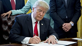 Executive orders, explained