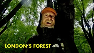 Ghosts of Epping Forest | a walk in London's forest (4K)