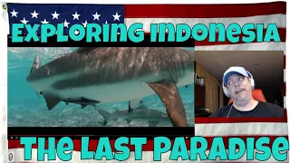 Exploring Indonesia - The Last Paradise - REACTION - again - and again - WOW again...