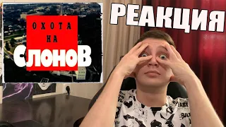 Криминальная Россия-Охота на Слонов.