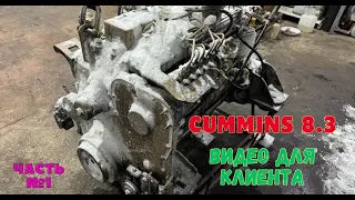 CUMMINS 8.3 . Отчёт для клиента и своего архива.