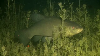 Underwater Belarus