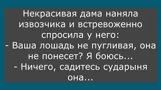 🔥Шампиньон Спрашивает У Груздя...Большой Сборник Смешных Анекдотов,Для Супер Настроения!