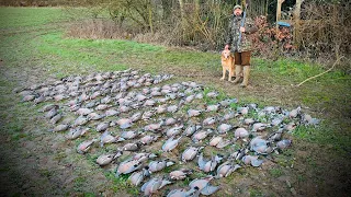 Pigeon Shooting 24 Feb 2024