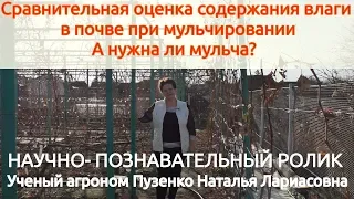 А нужна ли мульча? Сравнительная оценка содержания влаги при мульчировании почвы (Пузенко Н.Л.)