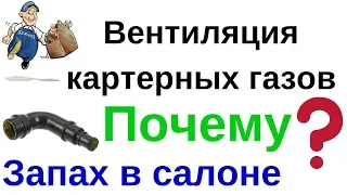 Вентиляция картерных газов. Почему запах картерных газов в салоне.