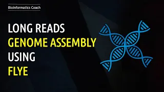 LONG READ (ONT) Genome Assembly Tutorial with Flye | Bioinformatics for Beginners