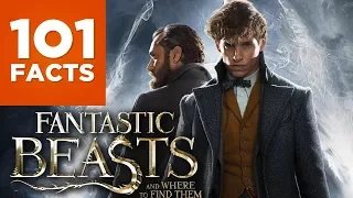 101 Facts About Fantastic Beasts And Where To Find Them
