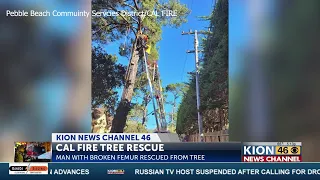 Tree trimmer rescued with broken femur in Carmel-by-the-Sea