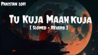 Slowed Reverb | Tu Kuja Man Kuja| Shiraz Uppal & Rafaqat Ali Khan