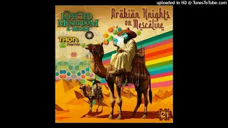 Infected Mushroom & GMS - Arabian Knights On Mescaline ( Tron Rmx )