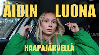 LUPAAN NÄMÄ ASIAT | mai day