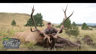 Face to Face New Mexico Elk