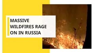 Your Story: 3 mn hectares of land engulfed in fire in Russia
