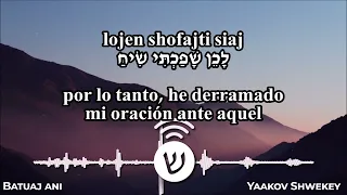 Batuaj ani / בָּטוּחַ אֲנִי / Yo confío - Yaakov Shwekey