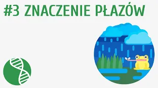 Znaczenie płazów #3 [ Płazy ]