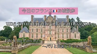 #26 【今日のフランス🇫🇷お城散歩】🌿フランスのお城をお散歩🌿美しい図書室📚お城のキッチン🫕豪華なお部屋と美しいお庭のお散歩🌸