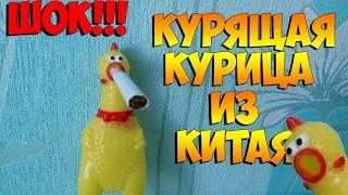 ШОК!!!Китайцы прислали КУРЯЩУЮ КУРИЦУ.АФИГЕТЬ