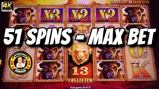 51 SPINS on MAX BET PAYS BIG TIME on Buffalo Gold