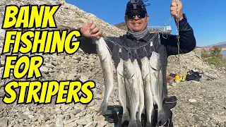 Bank Fishing for Stripers | Boulder Harbor