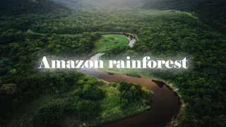 An awesome journey to discover the Amazon