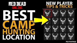 Best Camp Hunting Location in Red Dead Online (New Player Tips & Tricks)