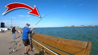 Fisherman Catches Fish of a Lifetime | Unbelievable Catch from Public Fishing Spot
